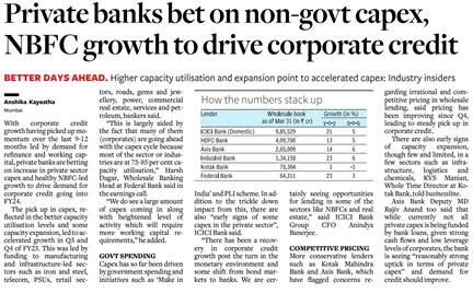 Private Banks Bet on Non-Govt Capex, NBFC Growth
