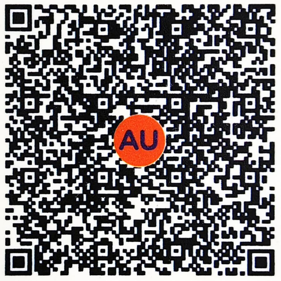 UPI Payment qrcode
